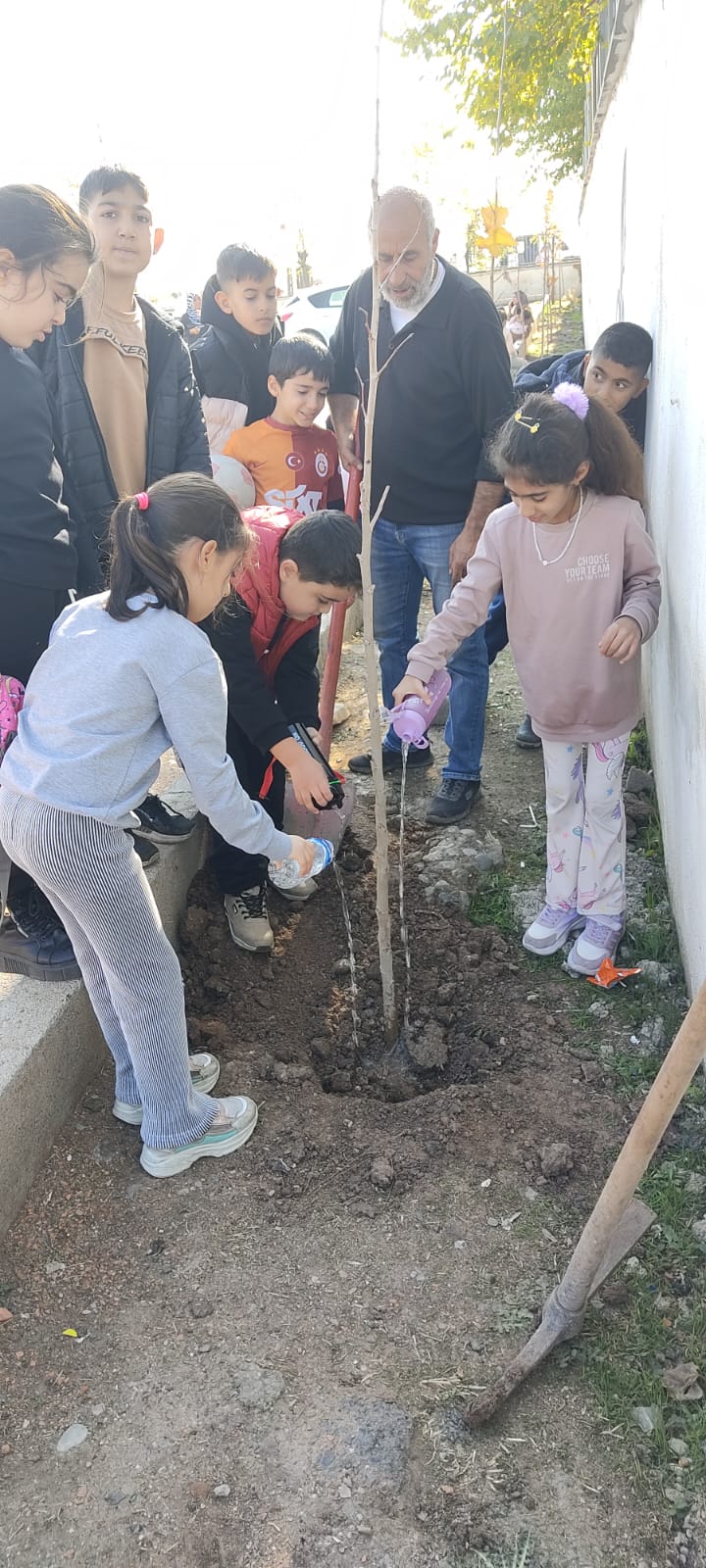 Ulusal/Uluslararası Projeler